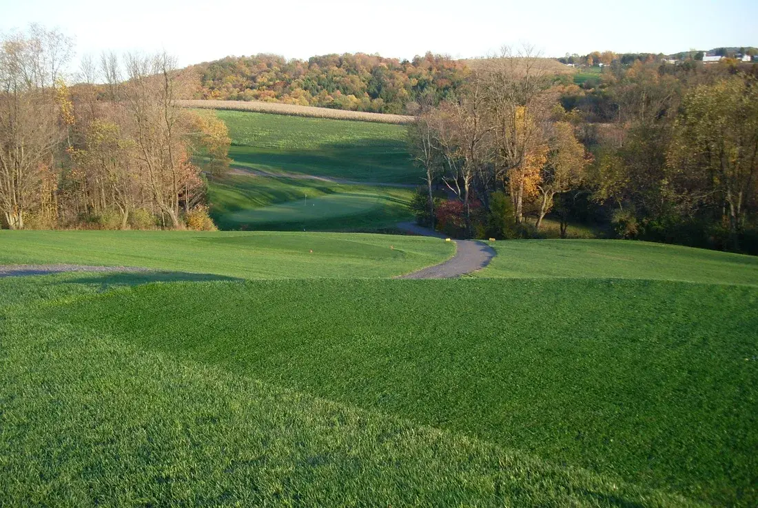 Golfing